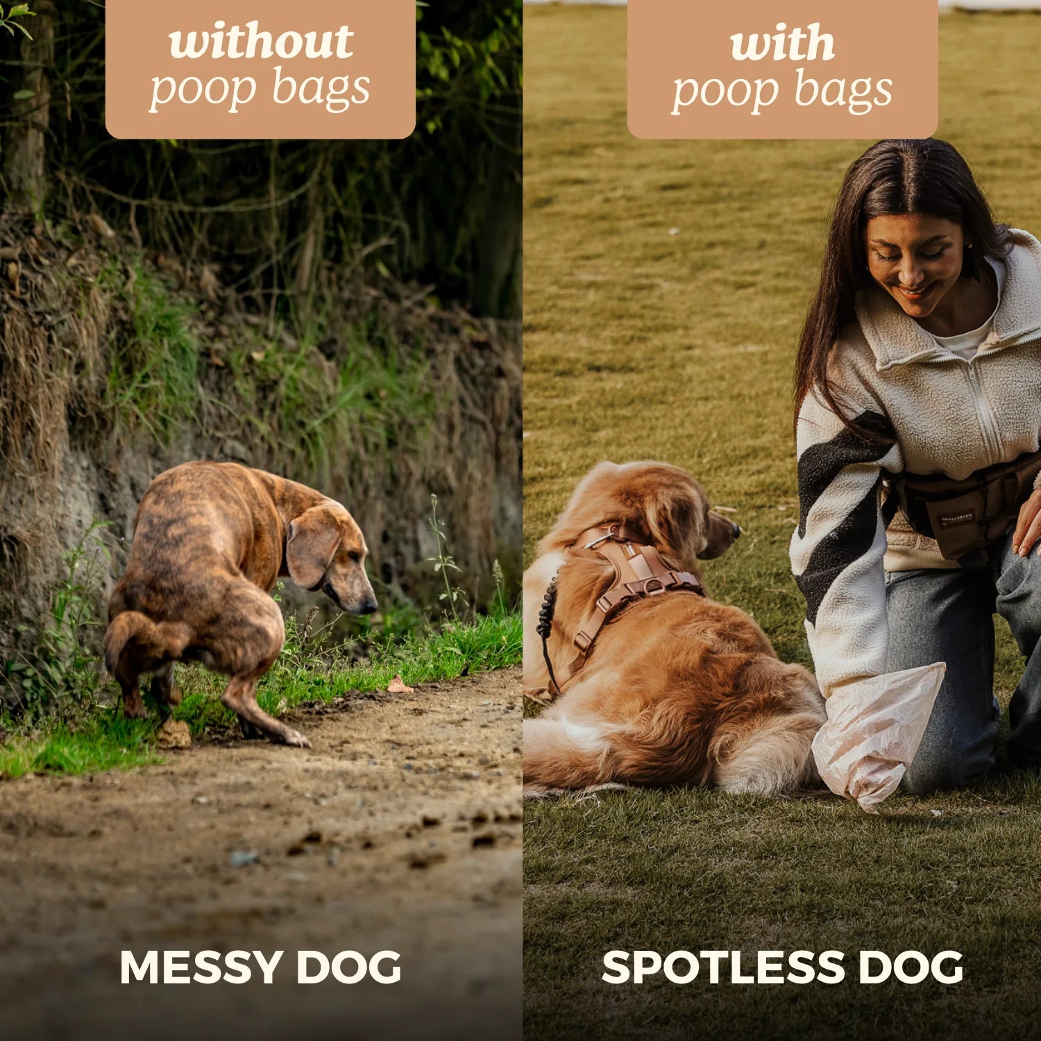 Eco Poop Bags (2+1 Free)