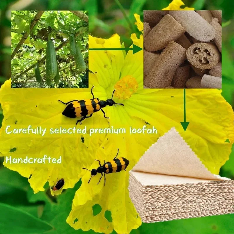 Super Absorbent Eco Natural Loofah Cellulose Dishcloths for Kitchen Reusable Compostable ECO Cleaning Cloth Dish Towels